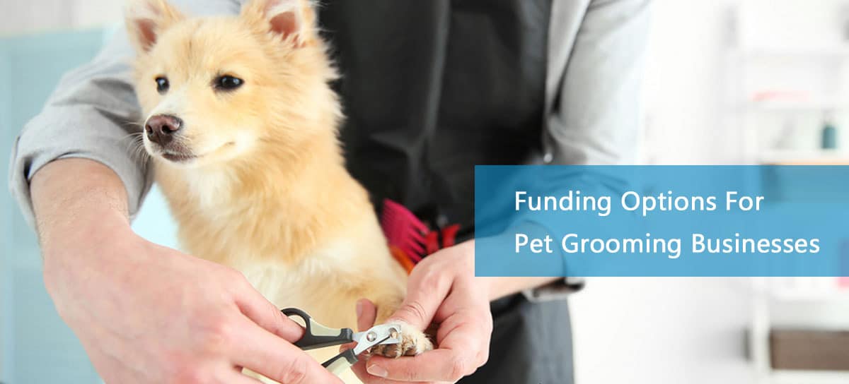 Pet grooming business financing